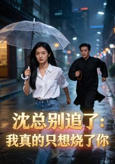 沈总别追了：我真的只想烧了你