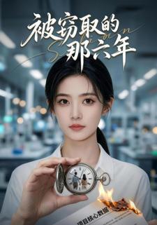 被窃取的那六年
