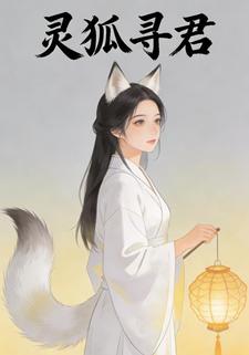灵狐寻君