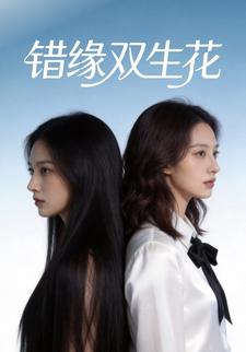 错缘双生花