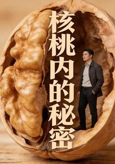 核桃内的秘密