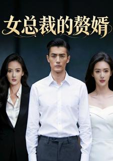 女总裁的赘婿