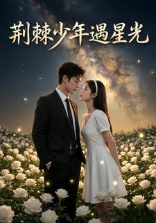 荆棘少年遇星光