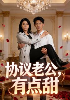 协议老公，有点甜