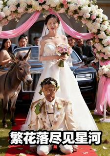 繁花落尽见星河