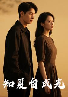 知夏自成光