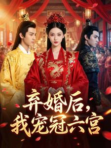 弃婚后，我宠冠六宫