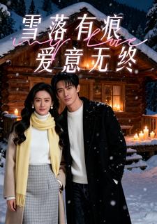 雪落有痕，爱意无终