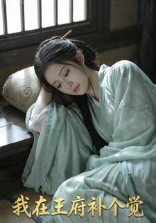 我在王府补个觉
