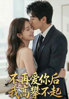不再爱你后我高攀不起