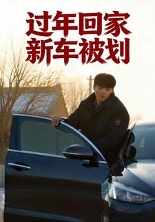 过年回家新车被划