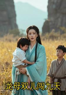 龙母双儿闯九天