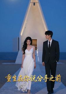 重生在你说分手之前