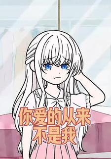 你爱的从来不是我