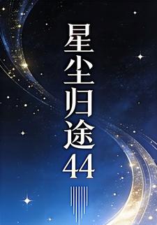 星尘归途44