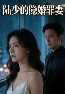 陆少的隐婚罪妻