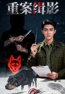 重案缉影