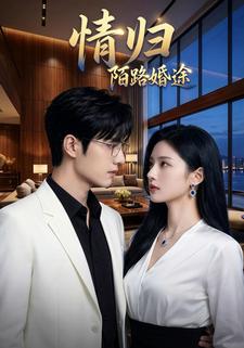 情归陌路婚途